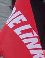 Die Linke